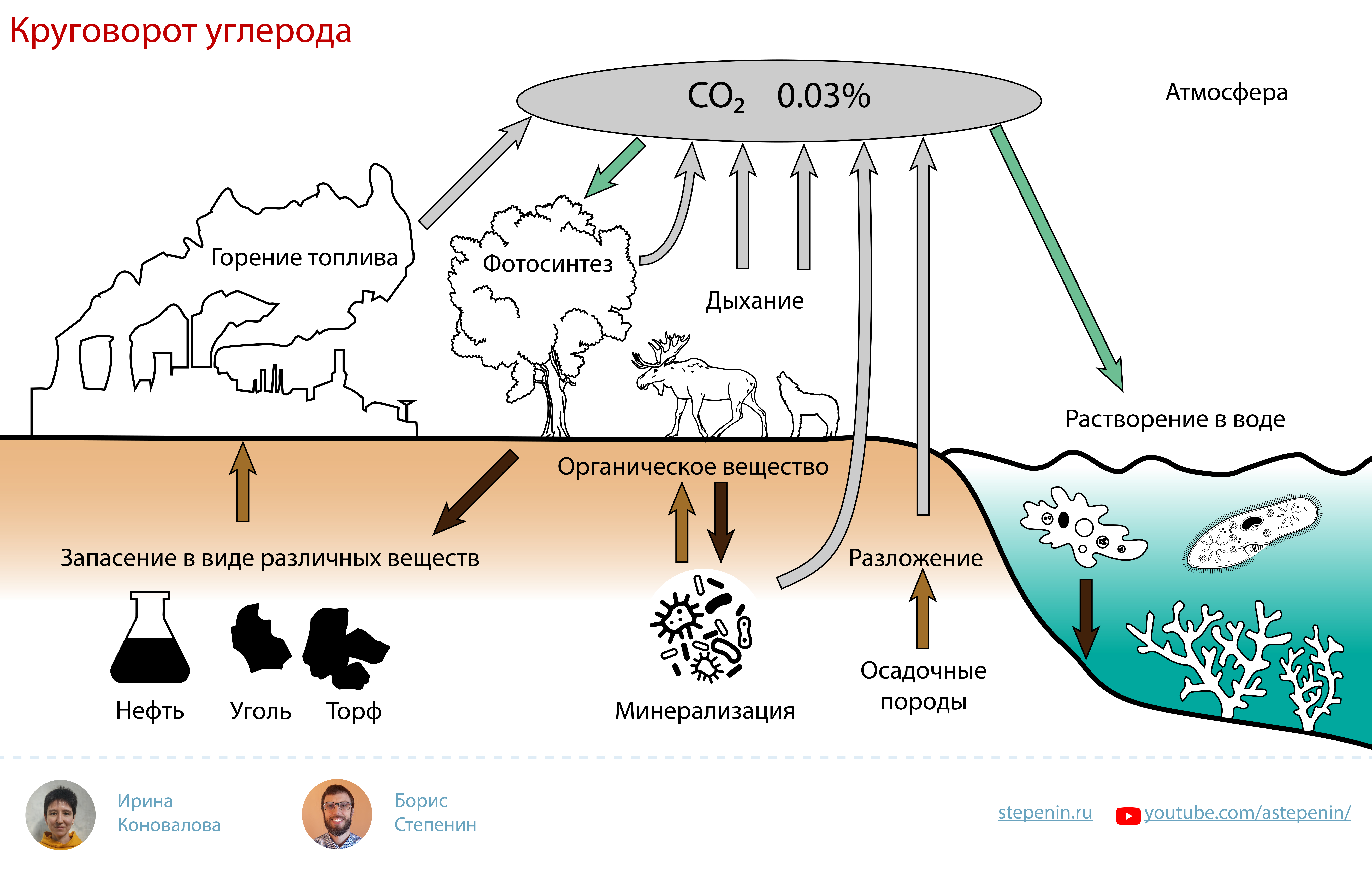 Схема круговорота углерода в природе впр