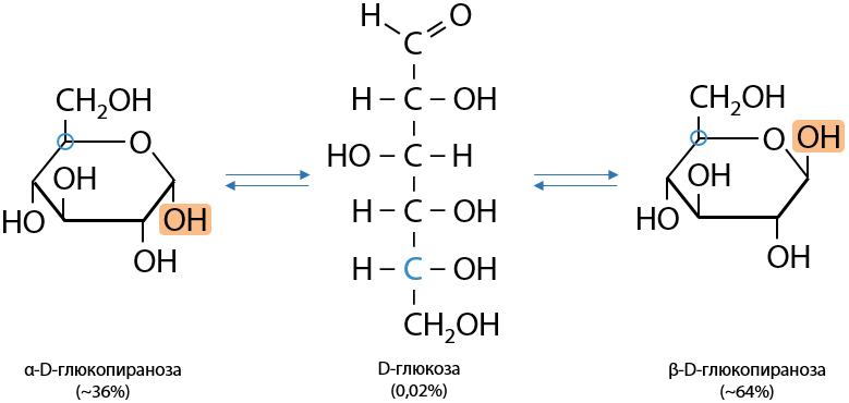 Циклические формы моносахаридов. Фруктоза альдегидная группа. Способность к гидролизу амилопектина. Строение углеводов.