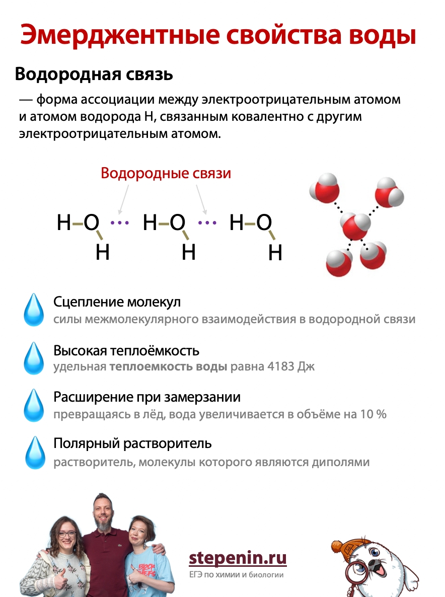 https://stepenin.ru/storage/images/questions/filename_d1dc56ab.jpeg